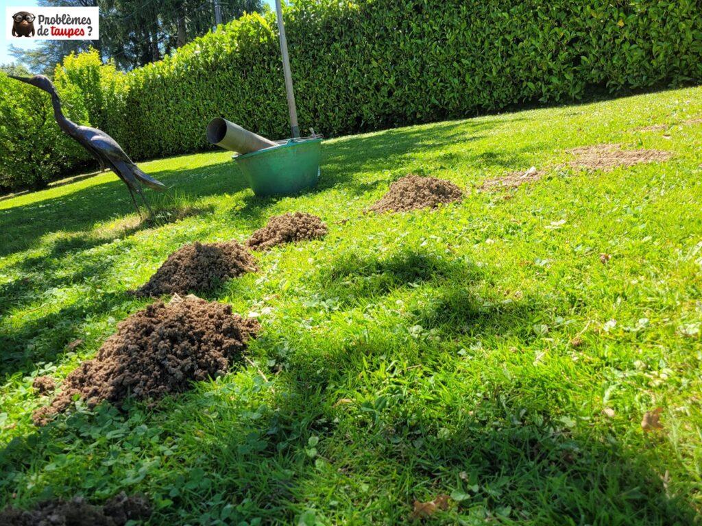 Piégeage traditionnel des taupes à Larressore près de Bayonne au Pays Basque