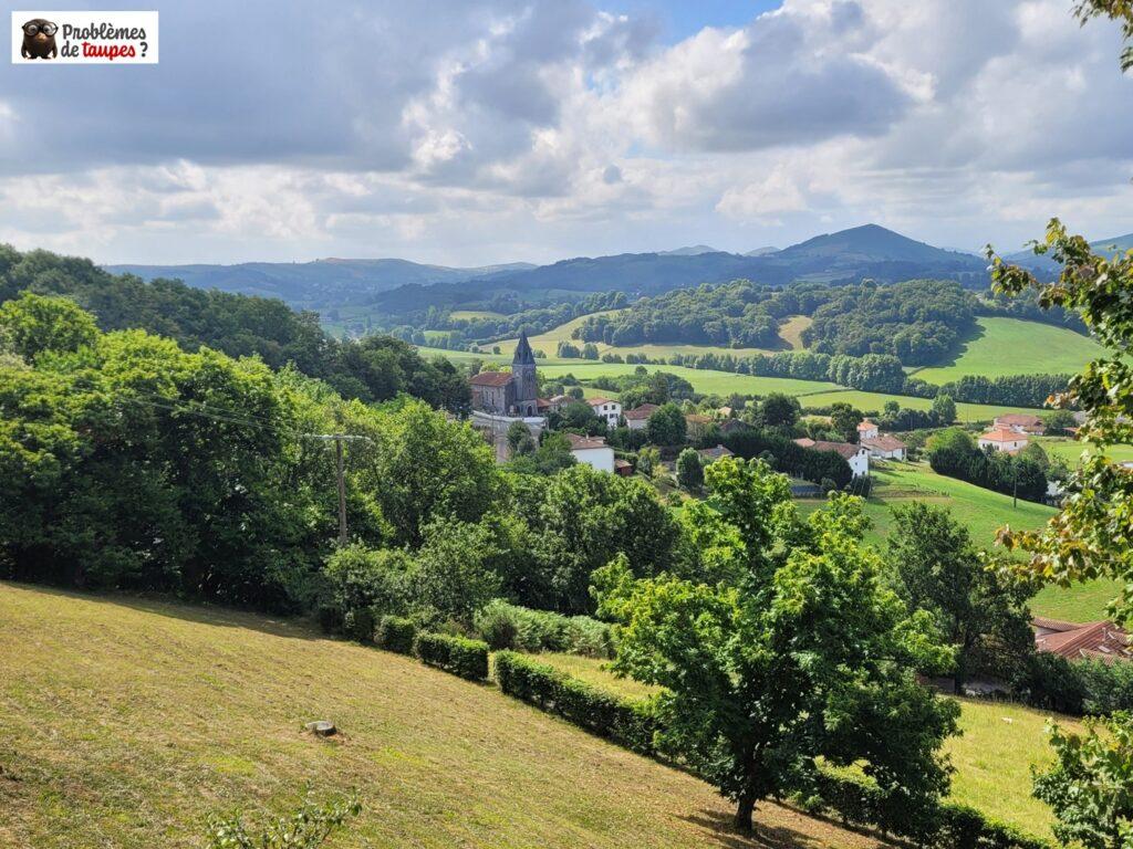 Votre expert ant-taupes au Pays Basque
