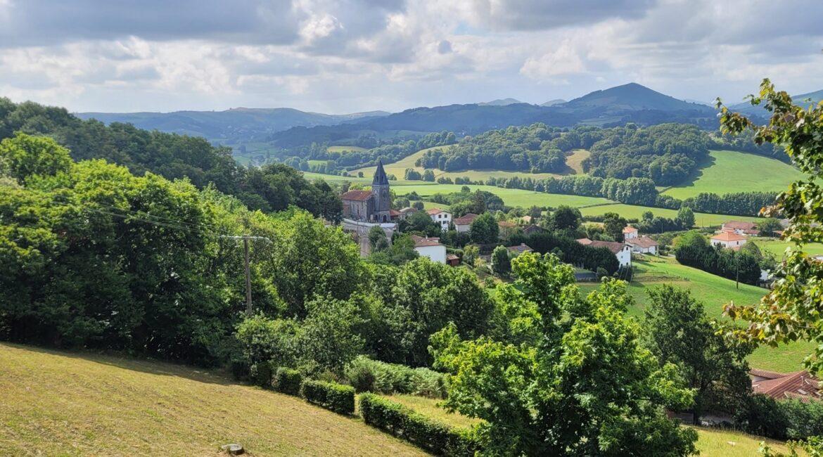 Votre expert ant-taupes au Pays Basque