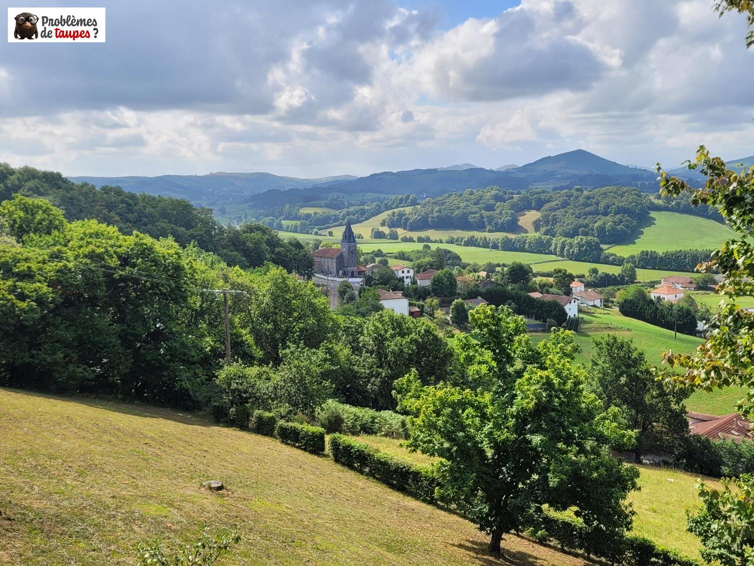 Taupier professionnel au Pays Basque : votre expert anti-taupes.