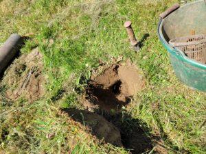 Installation d'une piégeage traditionnel par un chasseur de taupes à Bidart, sur la Côte Basque