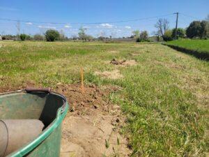 Présence de taupes dans mon jardin. Solutions et méthodes à Saint-Jean-d'Illac et Mérignac près de Bordeaux (33)