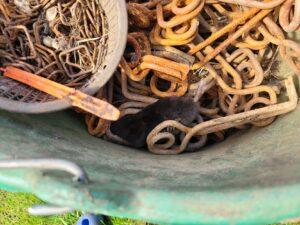 Comment éliminer les taupes au pays Basque (64)