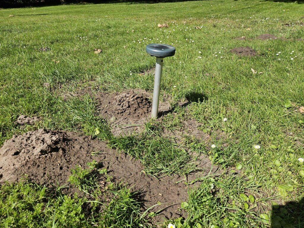 Comment se débarrasser des taupes dans son jardin sur le Bassin d'Arcachon ? Méthode et solution