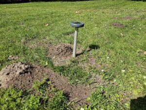 Comment se débarrasser des taupes dans son jardin sur le Bassin d'Arcachon ? Méthode et solution